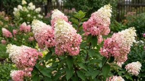 How to Grow Hydrangeas: The Ultimate Guide to Big, Beautiful Blooms